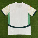 24/25 Cote d'Ivoire Away Fans Soccer Jersey