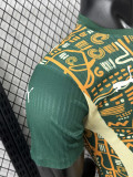 24/25 Cote d'Ivoire Green Special Edition  Player Version Soccer Jersey