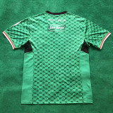 24/25 Palestino Deportivo Green Special Edition Fans Soccer Jersey