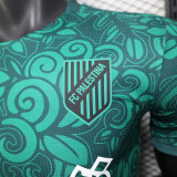 25/26 Palestine  Special Edition Green Player Version Soccer Jersey