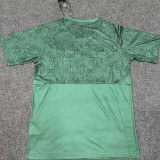 24/25 Fluminense Green  Training shirts