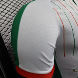 25/26 Palestine 1921 Commemorative Edition  Player Version Soccer Jersey