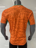 26/27 Cote d'Ivoire Home Fans Soccer Jersey