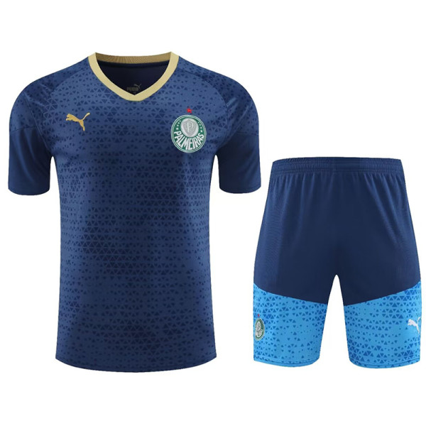 24/25  Palmeiras Blue Training Short Suit