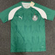 24/25 Palmeiras Green Training shirts