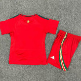 2024 Wales  Home Kids Soccer Jersey