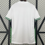 24/25 Nigeria Home Fans Soccer Jersey