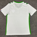 24/25 Saint Etienne Away Fans Soccer Jersey