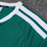 25/26 AD Green Player Version Training Short Suit#D2506