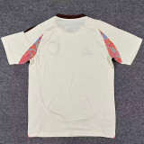 25/26 D.C.United Beige Fans Soccer Jersey