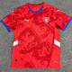2024 Czech Republic Home  Fans Soccer Jersey