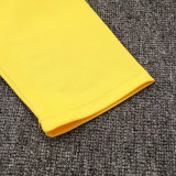 24/25 Dortmund Yellow Half Pull Tracksuit  (半拉链)