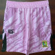 25/26 BAR Pink Shorts Pants