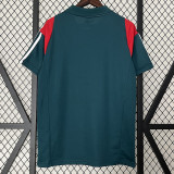 24/25 Cruzeiro Military Blue Polo Training shirts（翻领）