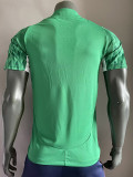 24/25 Palmeiras Green Special Edition Player Version Soccer Jersey