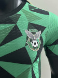 24/25 AEK FC Green  Fans Soccer Jersey