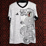 24/25 Japan Ancient White Dragon Fans Soccer Jersey (白龙 )