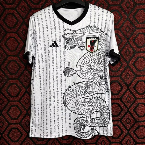 24/25 Japan Ancient White Dragon Fans Soccer Jersey (白龙 )