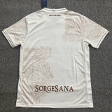 25/26  Napoli Away Fans Soccer Jersey