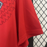 24/25  Lille Home Fans Soccer Jersey