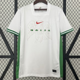 24/25 Nigeria Home Fans Soccer Jersey