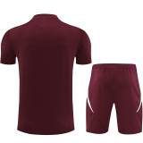 24/25 Bayern Deep Red Training Short Suit