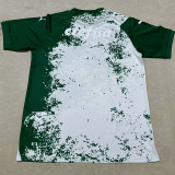 24/25 Palmeiras White Green Special Edition  Fans Soccer Jersey