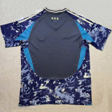 24/25 Ajax Away Grey Fans Soccer Jersey