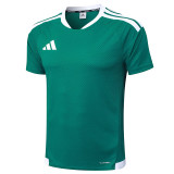 25/26 AD Green Player Version Training Short Suit#D2506