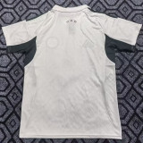25/26 Panathinaikos FC White Fans Soccer Jersey