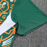 26/27 Cote d'Ivoire Green Training Shorts Suit