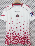 24/25 Sunderland Anniversary Edition Fans Soccer Jersey