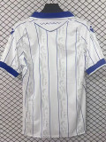 25/26 Sheffield Wednesday Third Fans Soccer Jersey