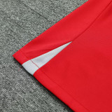 24/25  LIV Red Gray Shoulder  Training Shirts(红色灰肩）