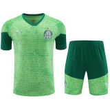 24/25  Palmeiras White Green Training Short Suit （绿白）