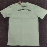 24/25 Monchengladbach Green Special Edition Fans Soccer Jersey