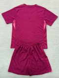 25/26 TOT Goalkeeper Purple  Kids Soccer Jersey