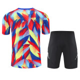 25/26  ARS Jigsaw puzzle Training Short Suit