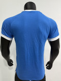 2025  Italy Blue 1:1 Pure Cotton T-shirt(纯棉)