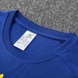25/26  Boca Juniors Blue Training Short Suit