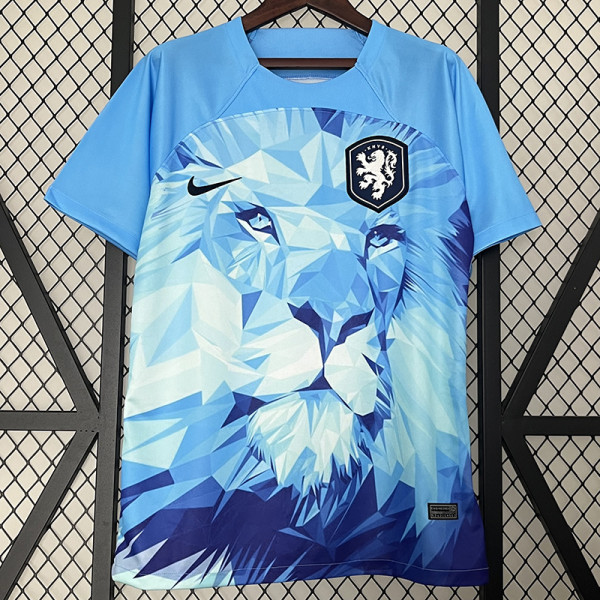24/25 Netherlands Blue Special Edition Soccer Jersey