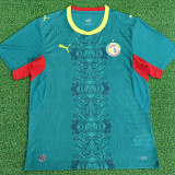 25/26 Senegal Away Player Version Soccer Jersey