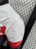 25/26 Japan Wolf King Special Edition Player Version  Soccer Jersey