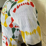 24/25 Senegal White Player Version Training Shirts