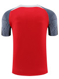 24/25  LIV Red Gray Shoulder  Training Shirts(红色灰肩）