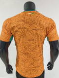 26/27 Cote d'Ivoire Home Player Version Soccer Jersey