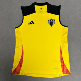 2025 Mineiro Yellow vest  Training shirts