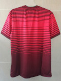 2014 Portugal Home 100th Anniversary Edition Retro Soccer Jersey