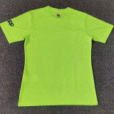 24/25 JDT Sparkling Green Fans Soccer Jersey