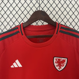 2024 Wales Home Fans Soccer Jersey